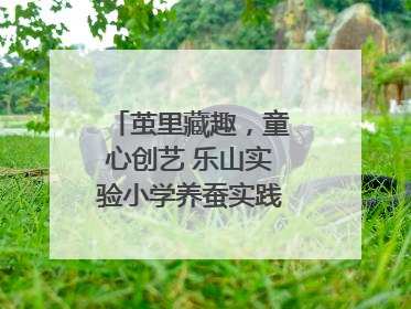 茧里藏趣，童心创艺 乐山实验小学养蚕实践绘就成长画卷