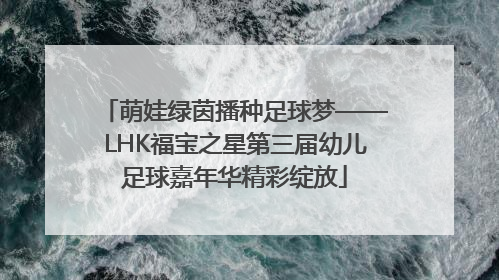 萌娃绿茵播种足球梦——LHK福宝之星第三届幼儿足球嘉年华精彩绽放