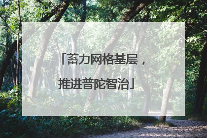 蓄力网格基层，推进普陀智治