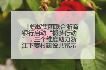 蚂蚁集团联合浙商银行启动“栀梦行动”，三个维度助力浙江下姜村建设共富示范区示范点