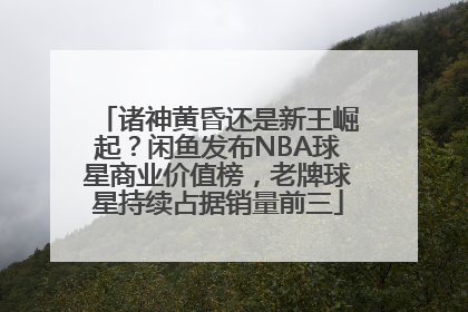 诸神黄昏还是新王崛起？闲鱼发布NBA球星商业价值榜，老牌球星持续占据销量前三