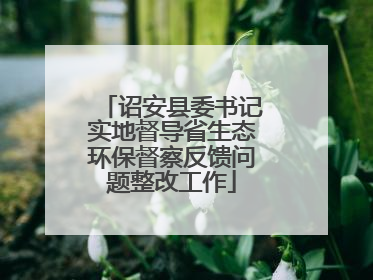 诏安县委书记实地督导省生态环保督察反馈问题整改工作