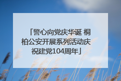 警心向党庆华诞 桐柏公安开展系列活动庆祝建党104周年