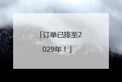 订单已排至2029年！