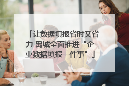 让数据填报省时又省力 禹城全面推进“企业数据填报一件事”