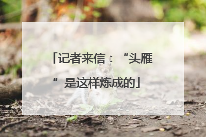 记者来信：“头雁”是这样炼成的