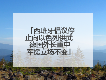 西班牙倡议停止向以色列供武 德国外长重申军援立场不变
