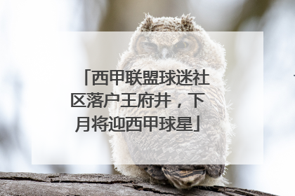 西甲联盟球迷社区落户王府井，下月将迎西甲球星
