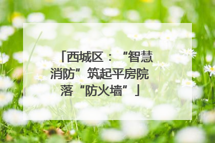 西城区：“智慧消防”筑起平房院落“防火墙”