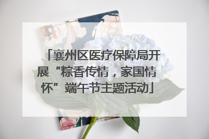 襄州区医疗保障局开展“粽香传情，家国情怀”端午节主题活动