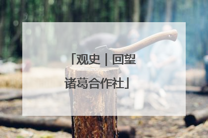 观史｜回望诸葛合作社