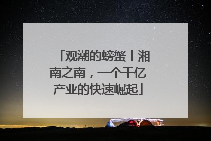 观潮的螃蟹丨湘南之南，一个千亿产业的快速崛起