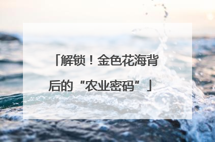 解锁！金色花海背后的“农业密码”