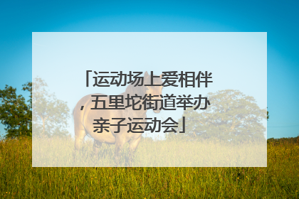 运动场上爱相伴，五里坨街道举办亲子运动会