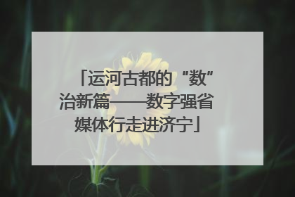 运河古都的“数”治新篇——数字强省媒体行走进济宁
