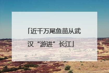 近千万尾鱼苗从武汉“游进”长江