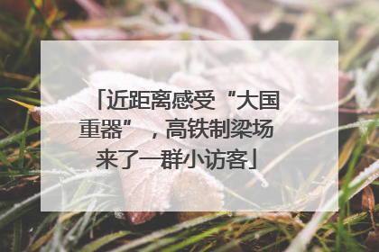 近距离感受“大国重器”，高铁制梁场来了一群小访客