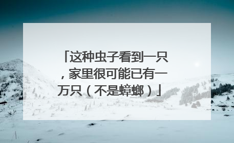 这种虫子看到一只，家里很可能已有一万只（不是蟑螂）