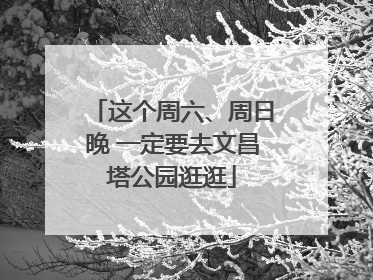 这个周六、周日晚 一定要去文昌塔公园逛逛