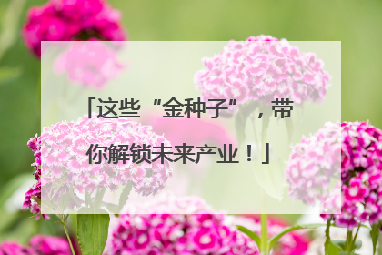 这些“金种子”，带你解锁未来产业！
