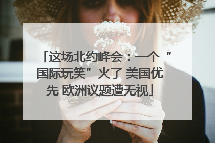这场北约峰会：一个“国际玩笑”火了 美国优先 欧洲议题遭无视
