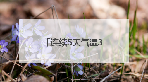连续5天气温30℃+！沈阳人请务必检查自己的车，这些物品可能变“炸弹”！