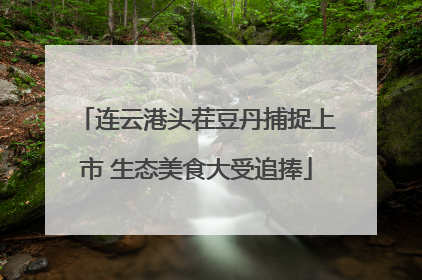连云港头茬豆丹捕捉上市 生态美食大受追捧