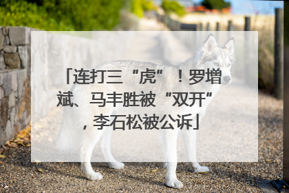连打三“虎”！罗增斌、马丰胜被“双开”，李石松被公诉