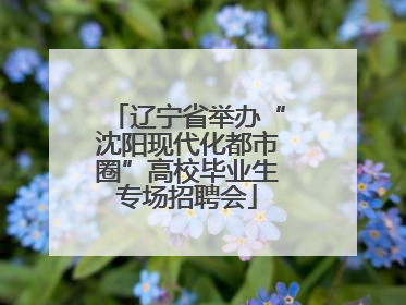 辽宁省举办“沈阳现代化都市圈”高校毕业生专场招聘会
