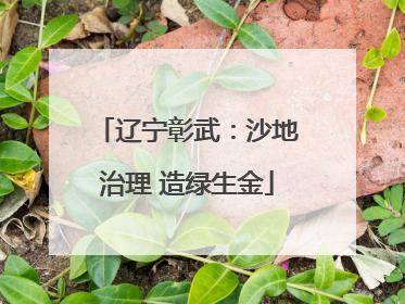 辽宁彰武：沙地治理 造绿生金