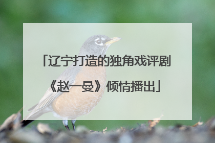 辽宁打造的独角戏评剧《赵一曼》倾情播出