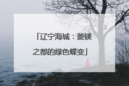 辽宁海城：菱镁之都的绿色蝶变