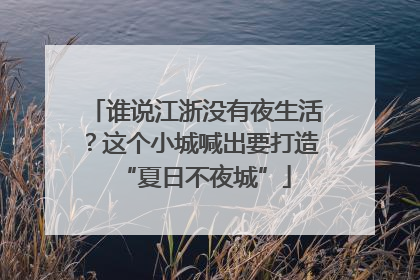 谁说江浙没有夜生活？这个小城喊出要打造“夏日不夜城”