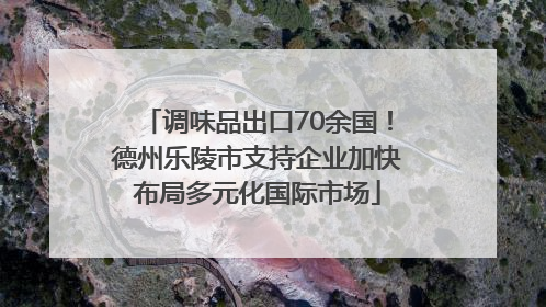 调味品出口70余国！德州乐陵市支持企业加快布局多元化国际市场