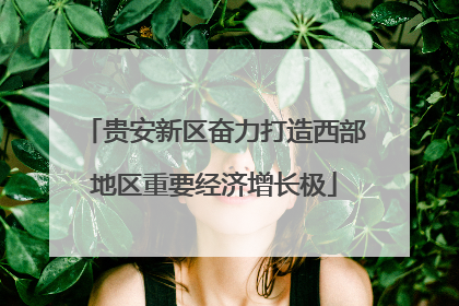 贵安新区奋力打造西部地区重要经济增长极