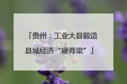 贵州：工业大县锻造县域经济“硬脊梁”