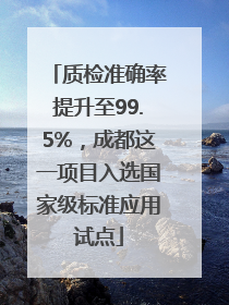 质检准确率提升至99.5%，成都这一项目入选国家级标准应用试点