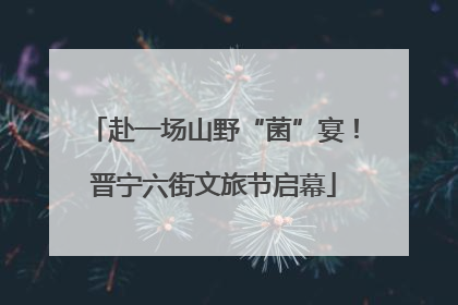 赴一场山野“菌”宴！晋宁六街文旅节启幕