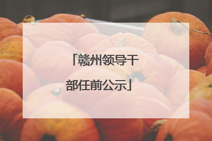 赣州领导干部任前公示