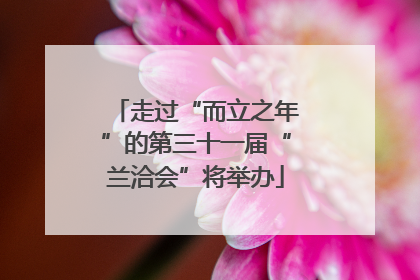 走过“而立之年”的第三十一届“兰洽会”将举办