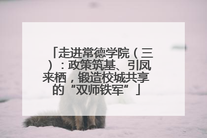 走进常德学院（三）：政策筑基、引凤来栖，锻造校城共享的“双师铁军”