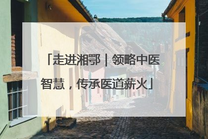 走进湘鄂｜领略中医智慧，传承医道薪火