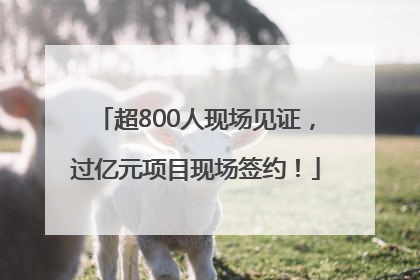 超800人现场见证，过亿元项目现场签约！
