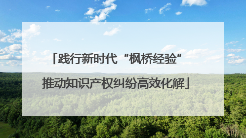 践行新时代“枫桥经验” 推动知识产权纠纷高效化解
