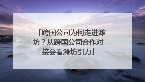 跨国公司为何走进潍坊？从跨国公司合作对接会看潍坊引力