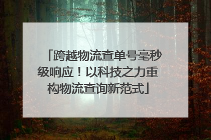 跨越物流查单号毫秒级响应！以科技之力重构物流查询新范式