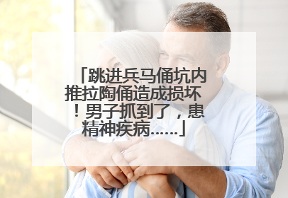 跳进兵马俑坑内推拉陶俑造成损坏！男子抓到了，患精神疾病……