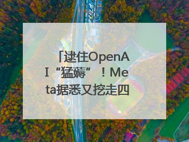 逮住OpenAI“猛薅”！Meta据悉又挖走四位知名研究人员