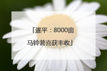 遂平：8000亩马铃薯喜获丰收
