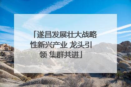 遂昌发展壮大战略性新兴产业 龙头引领 集群共进